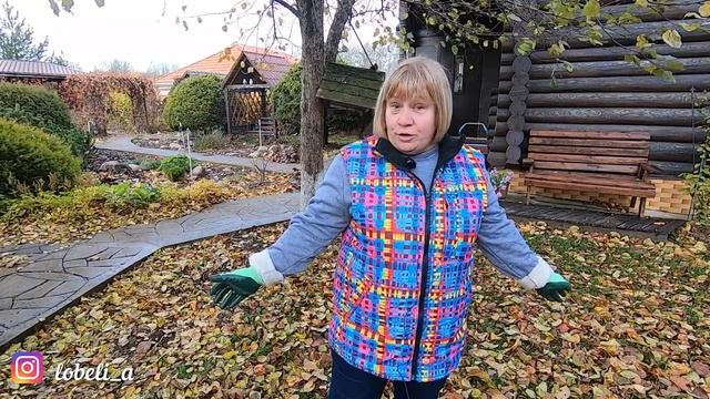Как легко собрать опавшие листья: мой лайфхак для ленивых