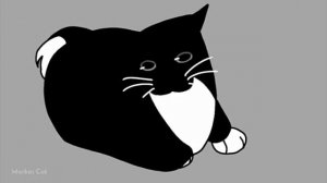 чёрный кот танцует