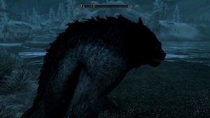 Skyrim: Werewolf fur