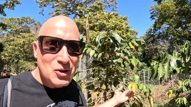 LAKE ATITLÁN, GUATEMALA Travel Guide! смотреть онлайн