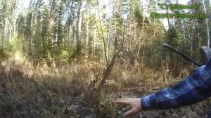 Зачем Тяпка в тайге у зимовья... (Маленькие хитрости Охотника-Промысловика)