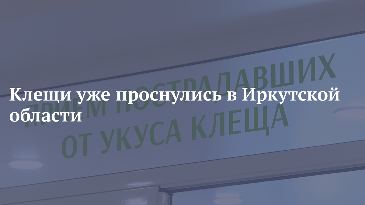 Клещи уже проснулись в Иркутской области