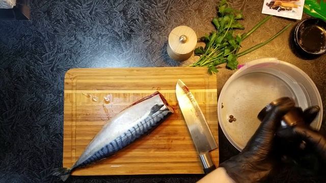 Скумбрия провесная