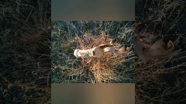 Лесная 🌳флейта в А#(лядиес) смотреть онлайн