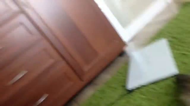 Моя кошка и телефон смотреть онлайн