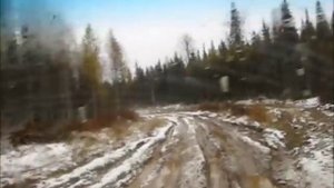 Поездка в Верхнюю колву