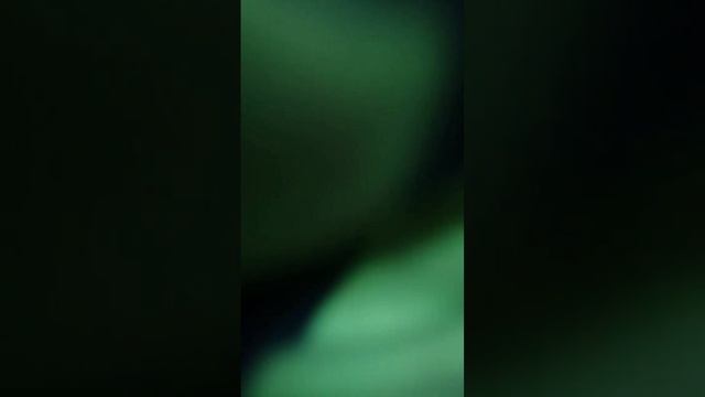 24 часа в сарае смотреть онлайн