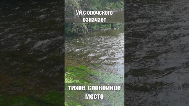 Река Уй (Ручей Чистоводный) #ванино #уй #дальнийвосток #история