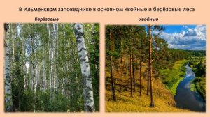 Ильменский заповедник