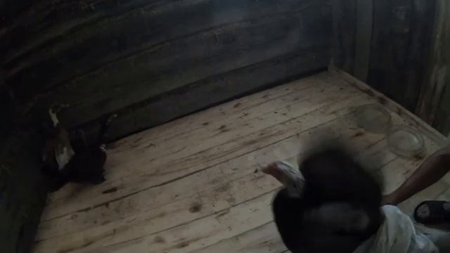 Купил: бройлеров, Уток, Индо уток, Кур несушек смотреть онлайн