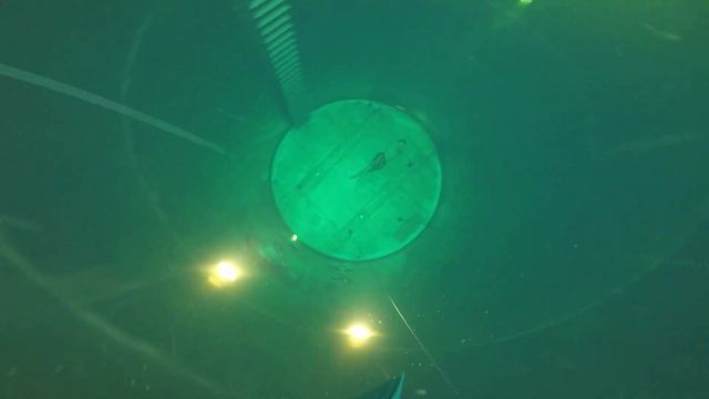 Развороты во фридайвинге. смотреть онлайн