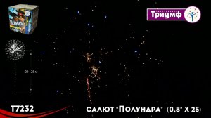 т7232 фин