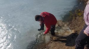 Ломаем ЛЁД. Большая толщина льда на болоте.