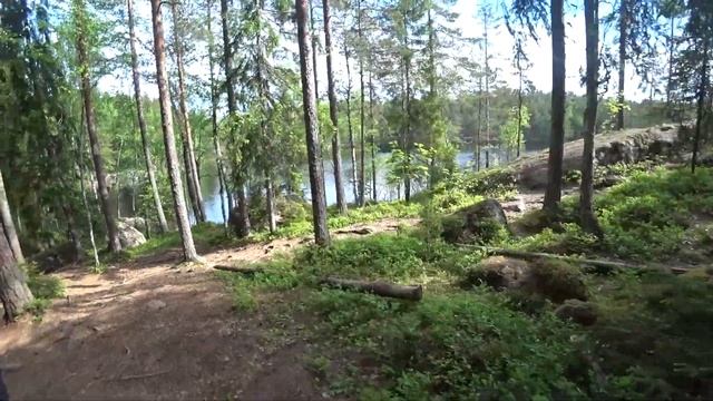 Снять коттедж в Финляндии. Видеотзыв Ольги Зотовой смотреть онлайн