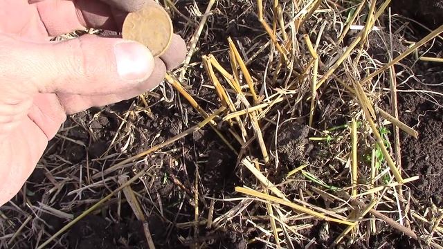 Поиск монет с АКА  Беркут-5. №49 Масонские 10 Копеек смотреть онлайн