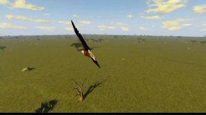 The Upcoming Weeks... | African Fisher Eagle on Wild Savanna Roblox
