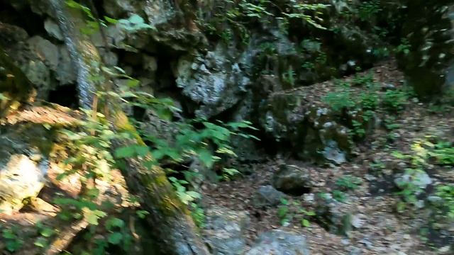 Пеший поход по тропе туристического экскурсионного маршрута Вислый камень и Змеиный затон в нацпарк