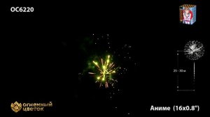 OC6220