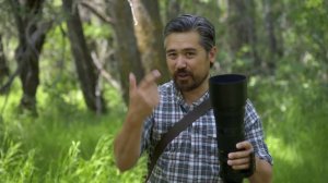 Nikon Z 180-600mm f/5.6-6.3 VR Initial Review: Nikon's BEST Wildlife Lens?!