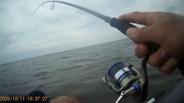 Рыбалка на озере Шаблиш 10.10.2020 смотреть онлайн