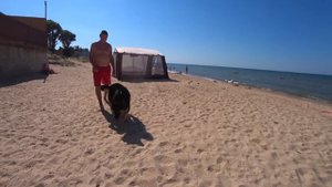 Отдых на море с собакой