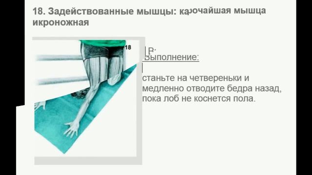Какие МЫШЦЫ ВЫ ТЯНИТЕ на самом деле. Упражнения на растяжку всех групп мышц