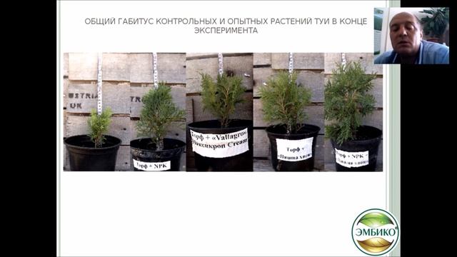 Вебинар Эмбико 18 08 16 смотреть онлайн