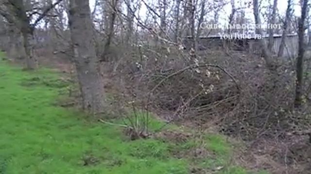 Экскурсия по достопримечательностям