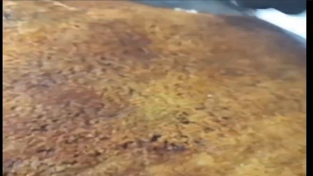 Новое сало уже в продаже! смотреть онлайн