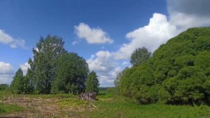 Из города в деревню/Дом в деревне/Псковская область.