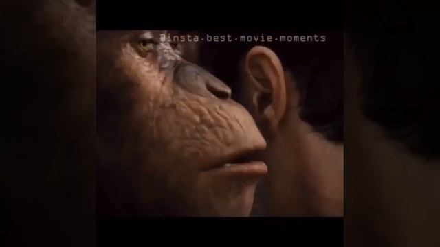 21 март поздравления с наурыз смотреть онлайн