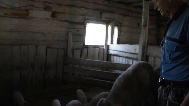 DSC 5993.mp4 смотреть онлайн