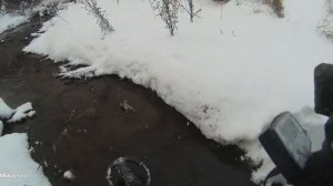 Перчатки неопреновые,испытание.Коп в ручье зимой