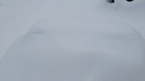 Дорога на пасеку.