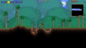 Избавляемся от NPC в Terraria