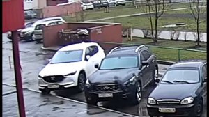 Кот падает с 9-го этажа, Липецк