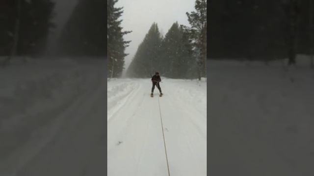 В погоне на лыжах за снегоходом