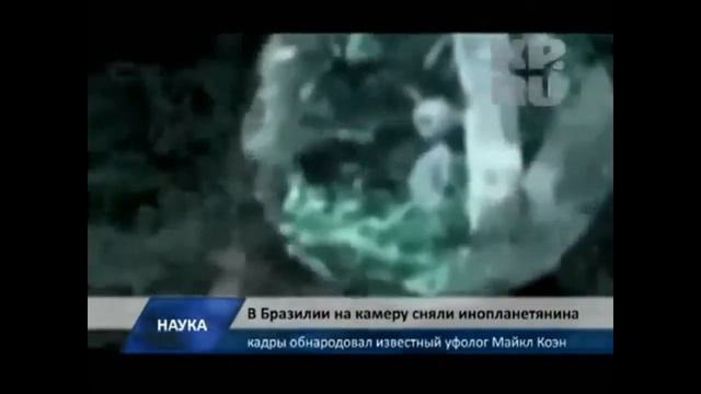 В Бразилии в объектив камеры попал настоящий пришелец смотреть онлайн