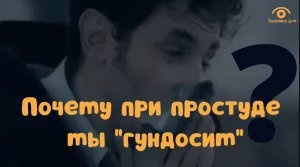 Почему при простуде изменяется голос и мы «гундосим»