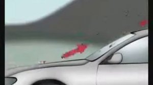 Авто тюнинг красота и мощь Для чего нужна мухобойка