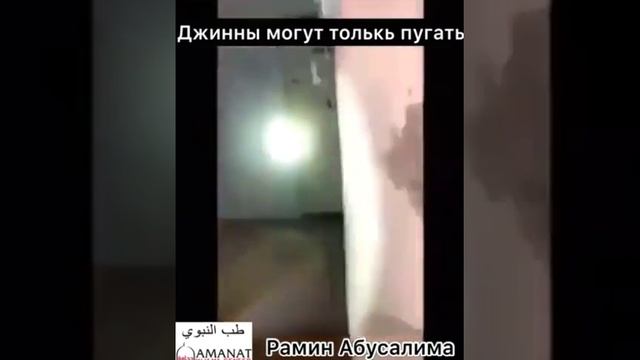 Джины