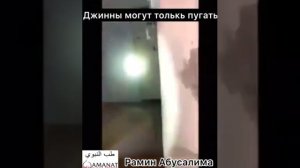 Джины