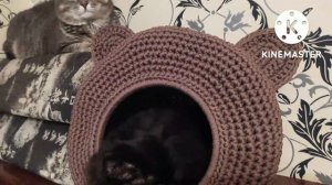 котодом для кота\вязание крючком