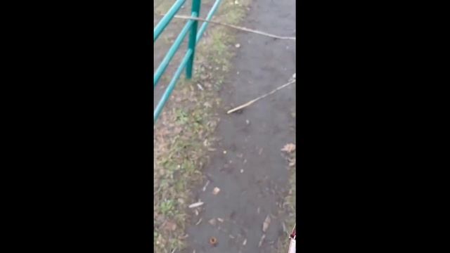 Верхом на хоббихорсе) смотреть онлайн