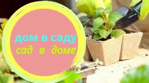 Дом в саду /сад в доме