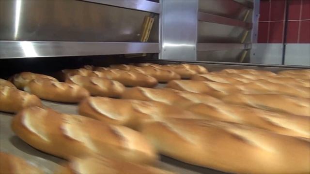 Enkomak Steam Tube Oven with Automatic Loading Robot смотреть онлайн