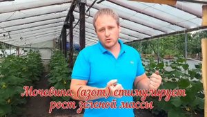 "Витаминная бомба" для растений