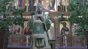 День Пятидесятницы  Проповедь. Епископ Амвросий