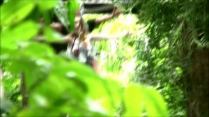 Полет гиббона, Паттайя. Реальный экстрим!!!/путешествия своим ходом