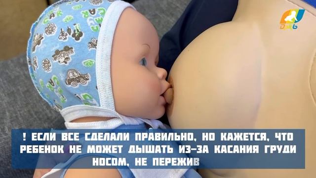 Основные правила прикладывания ребенка к груди при кормлении